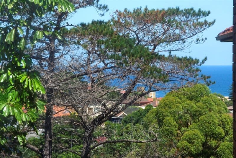 4  Mount Street, COOGEE NSW 2034, Coogee - Thumbnail 7