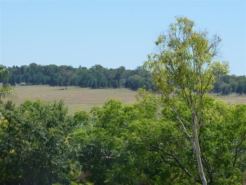 8 Lesley Place, DUBBO NSW 2830, Dubbo - Thumbnail 8