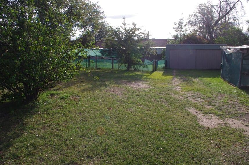 6 Bukkulla Street, ASHFORD NSW 2361, Ashford - Thumbnail 6