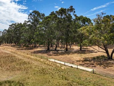 Lot 21, Arthur Street - Thumbnail 4