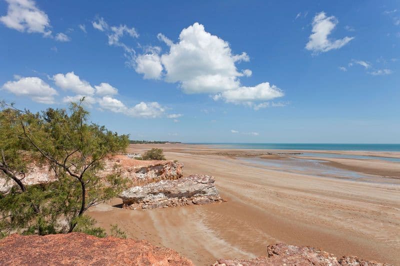 12 Omeo Street, BRINKIN NT 0810, Brinkin - Thumbnail 7