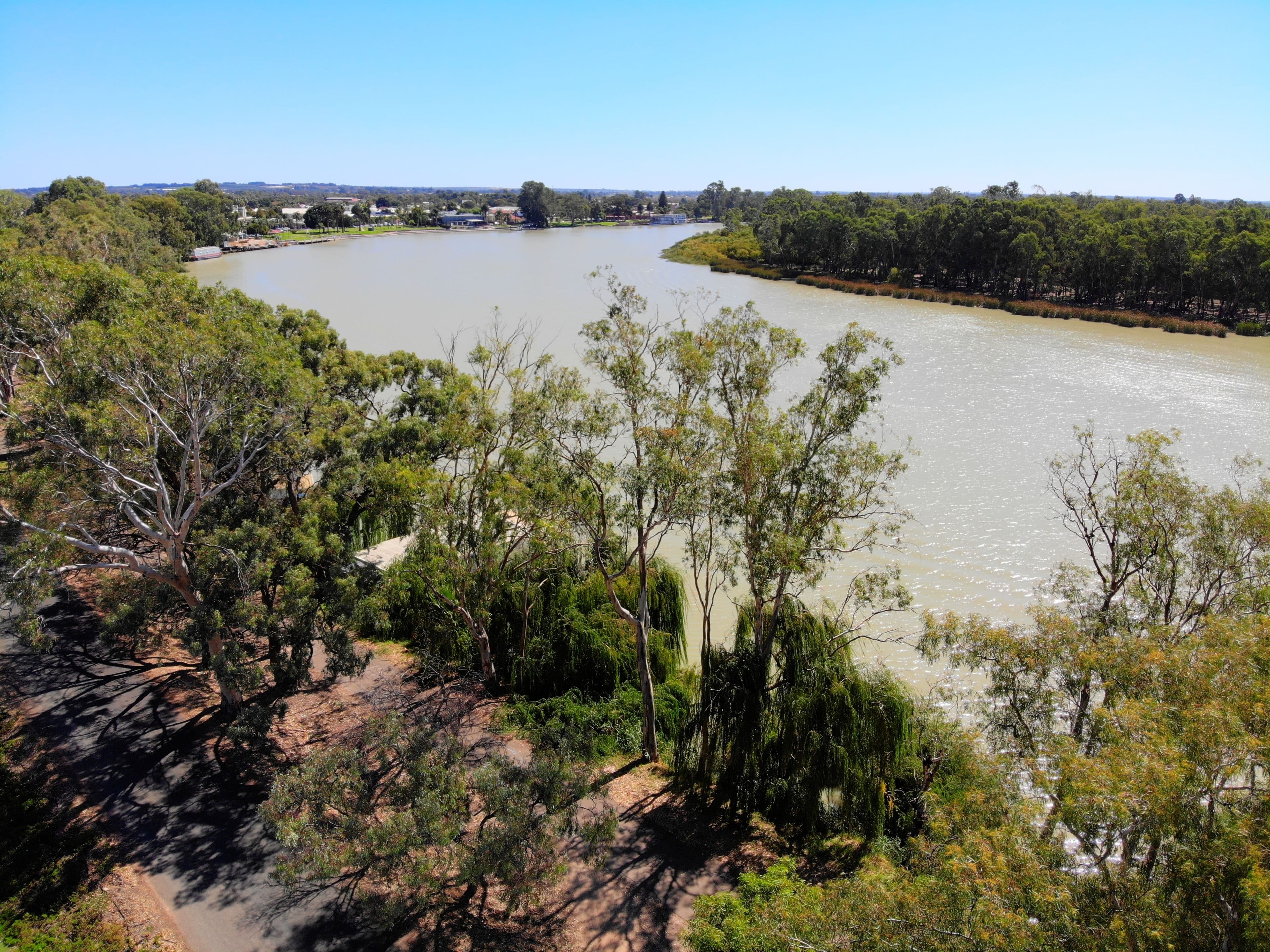 7 Tolarno Street, Renmark SA 5341, Renmark - Thumbnail 3