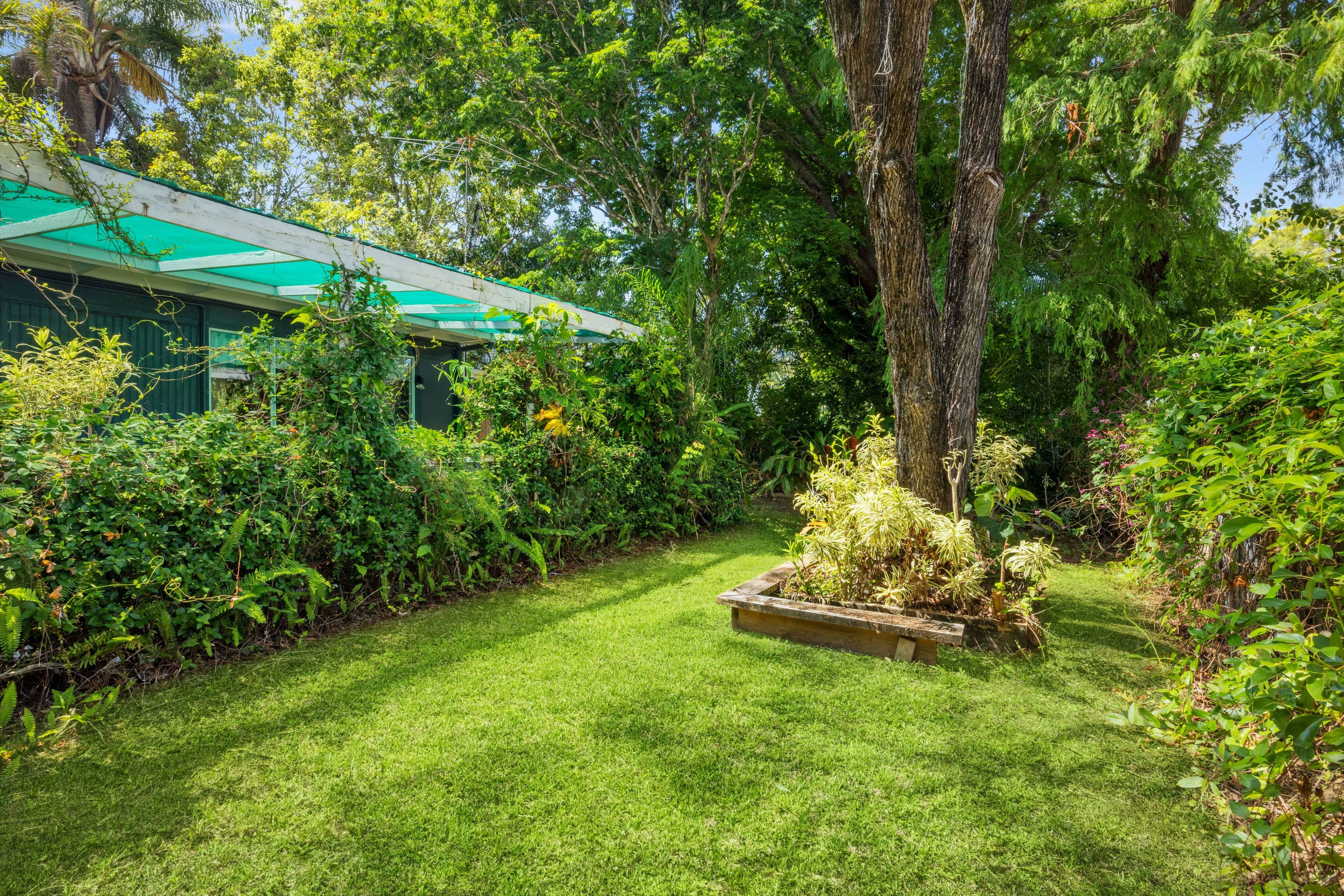 46 Isabella Avenue, Nambour QLD 4560, Nambour - Thumbnail 3