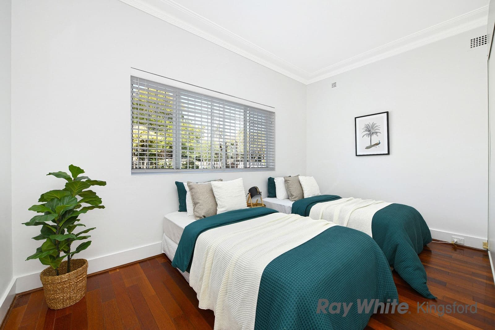 48 Irvine Street, Kingsford NSW 2032, Kingsford - Thumbnail 5
