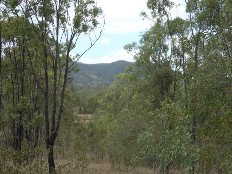 24 Wonbah Avenue, WONBAH QLD 4671, Wonbah - Thumbnail 3