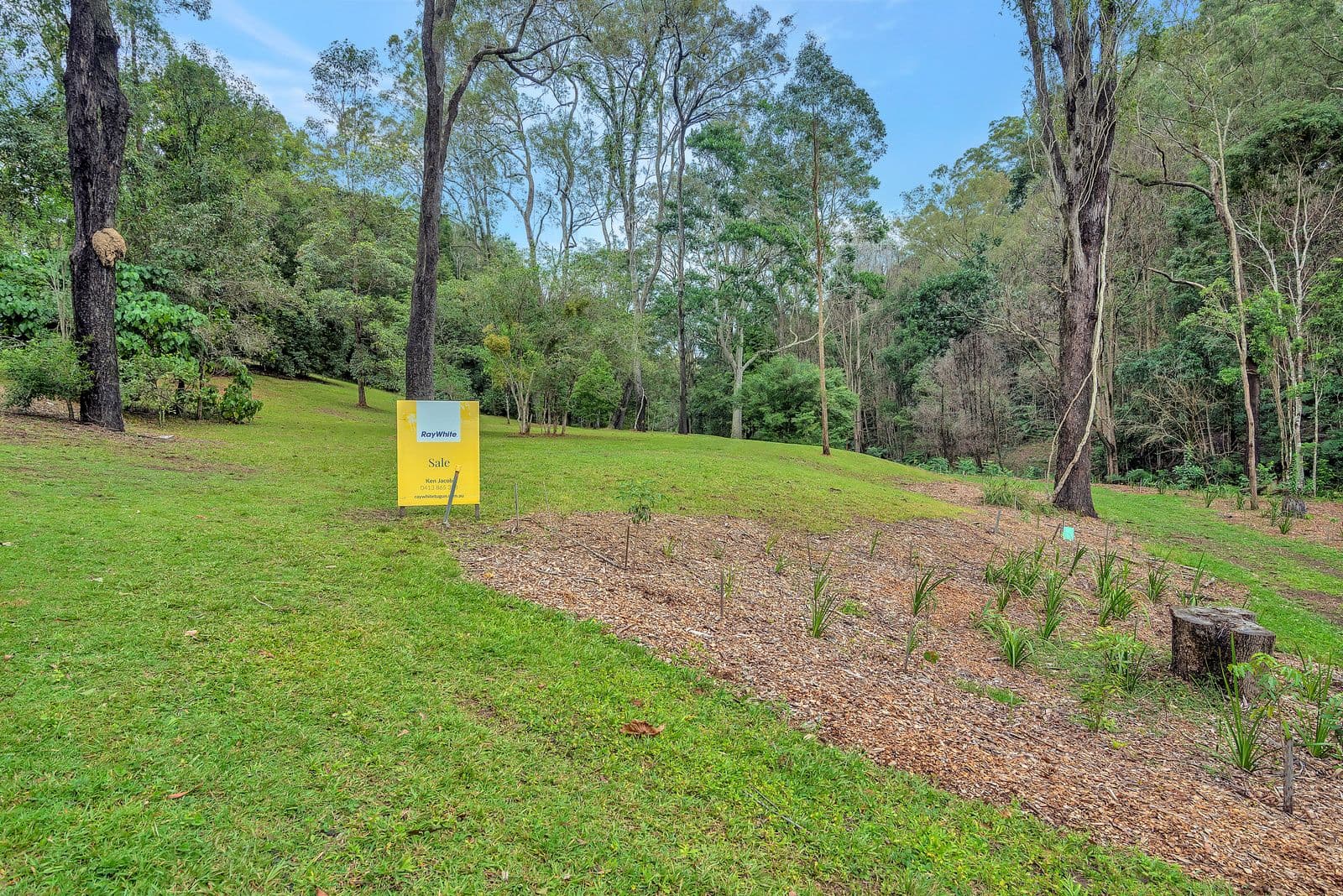 3 Wongaree Way, Currumbin Valley QLD 4223, Currumbin Valley - Thumbnail 2