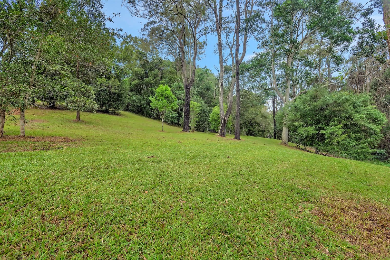 3 Wongaree Way, Currumbin Valley QLD 4223, Currumbin Valley - Thumbnail 3