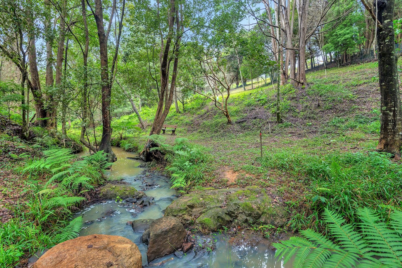 3 Wongaree Way, Currumbin Valley QLD 4223, Currumbin Valley - Thumbnail 4