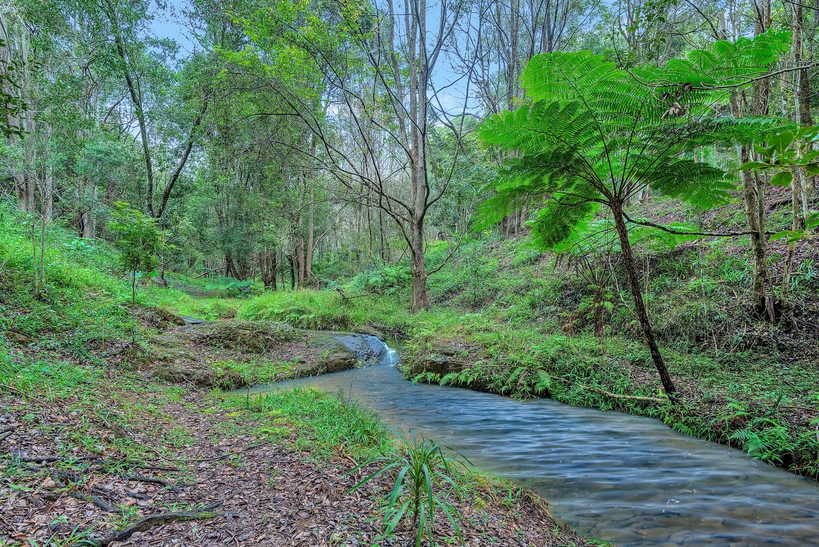 3 Wongaree Way, Currumbin Valley QLD 4223, Currumbin Valley - Thumbnail 5