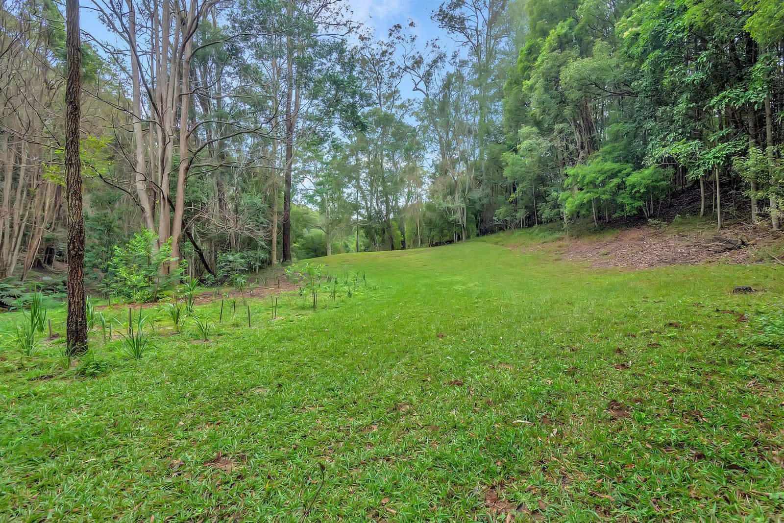 3 Wongaree Way, Currumbin Valley QLD 4223, Currumbin Valley - Thumbnail 6
