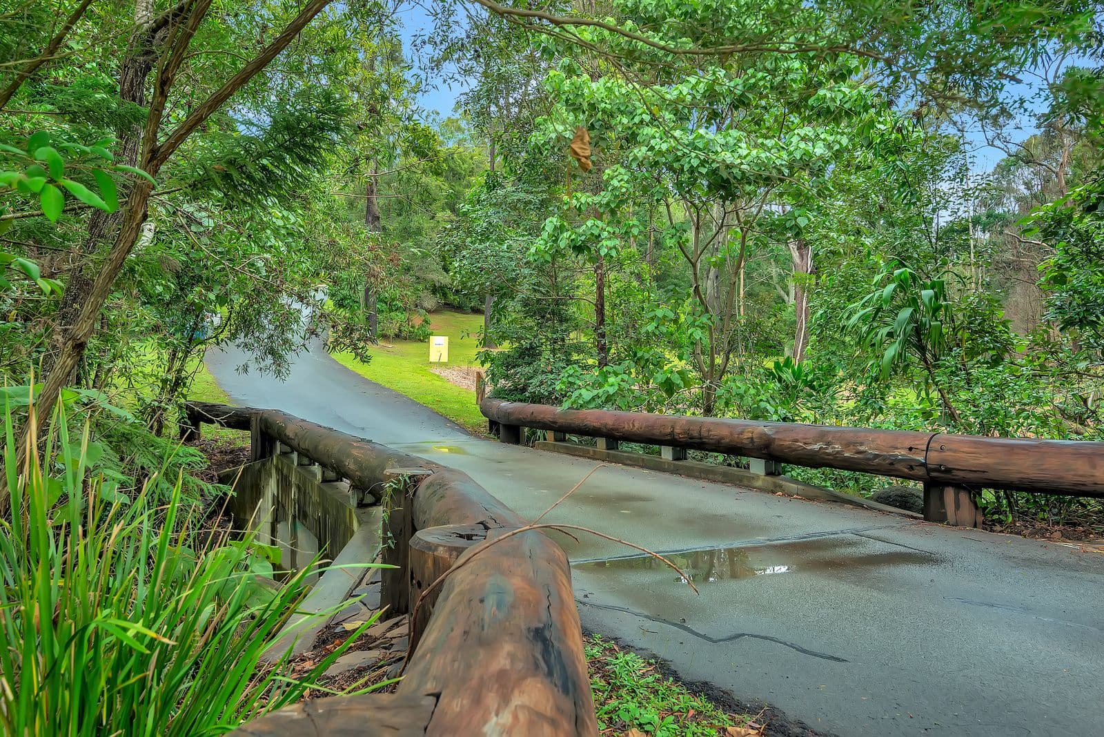 3 Wongaree Way, Currumbin Valley QLD 4223, Currumbin Valley - Thumbnail 8