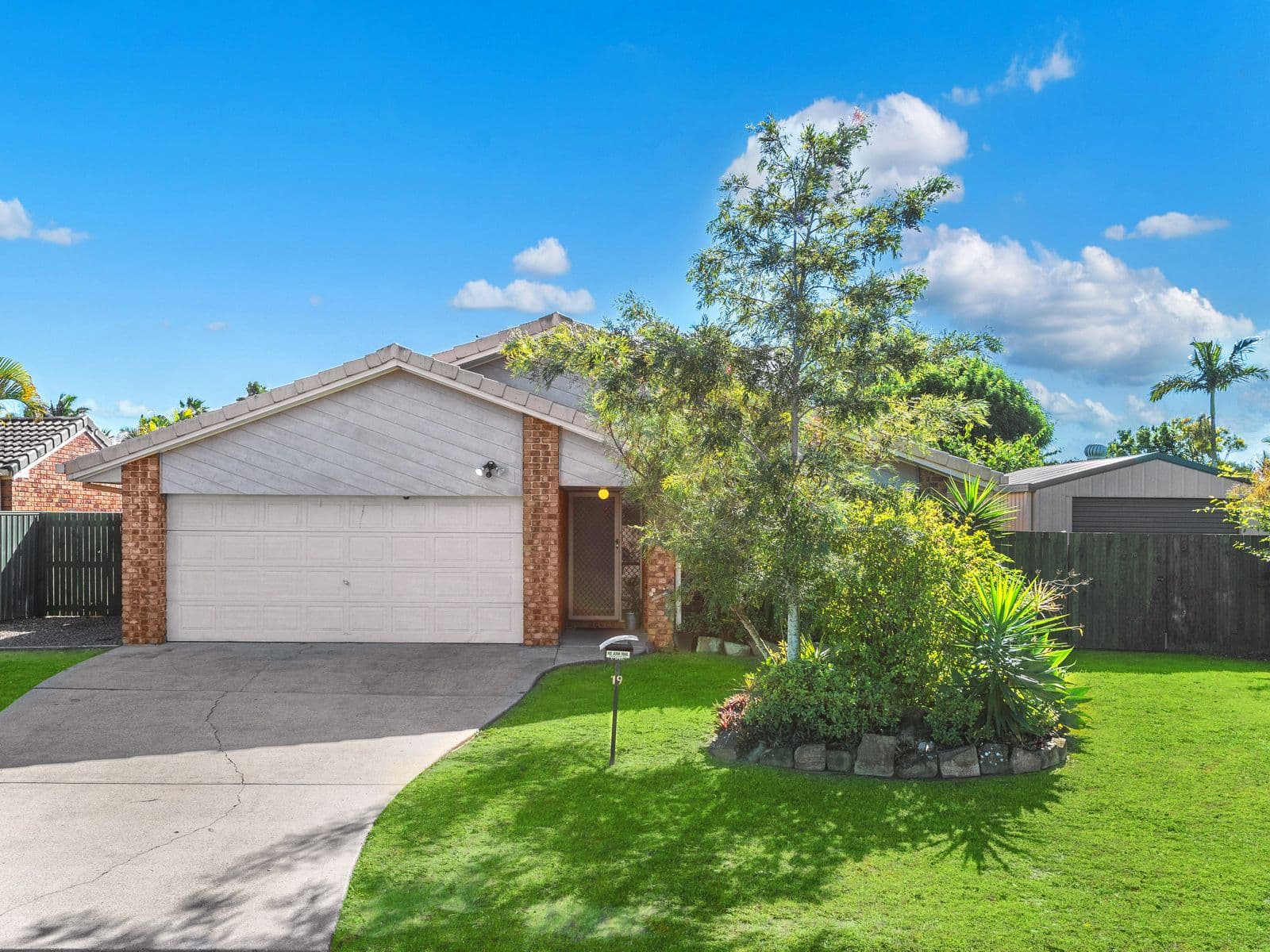 19 Sanicle Street, Bald Hills QLD 4036, Bald Hills - Thumbnail 3