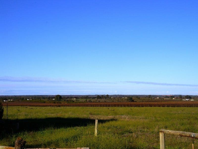 212 Cooltong Avenue, RENMARK SA 5341, Renmark - Image 1