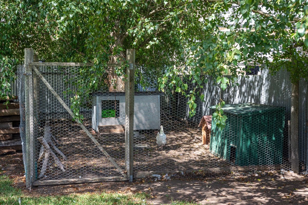 24 Freshford Place, Woodside SA 5244, Woodside - Thumbnail 6