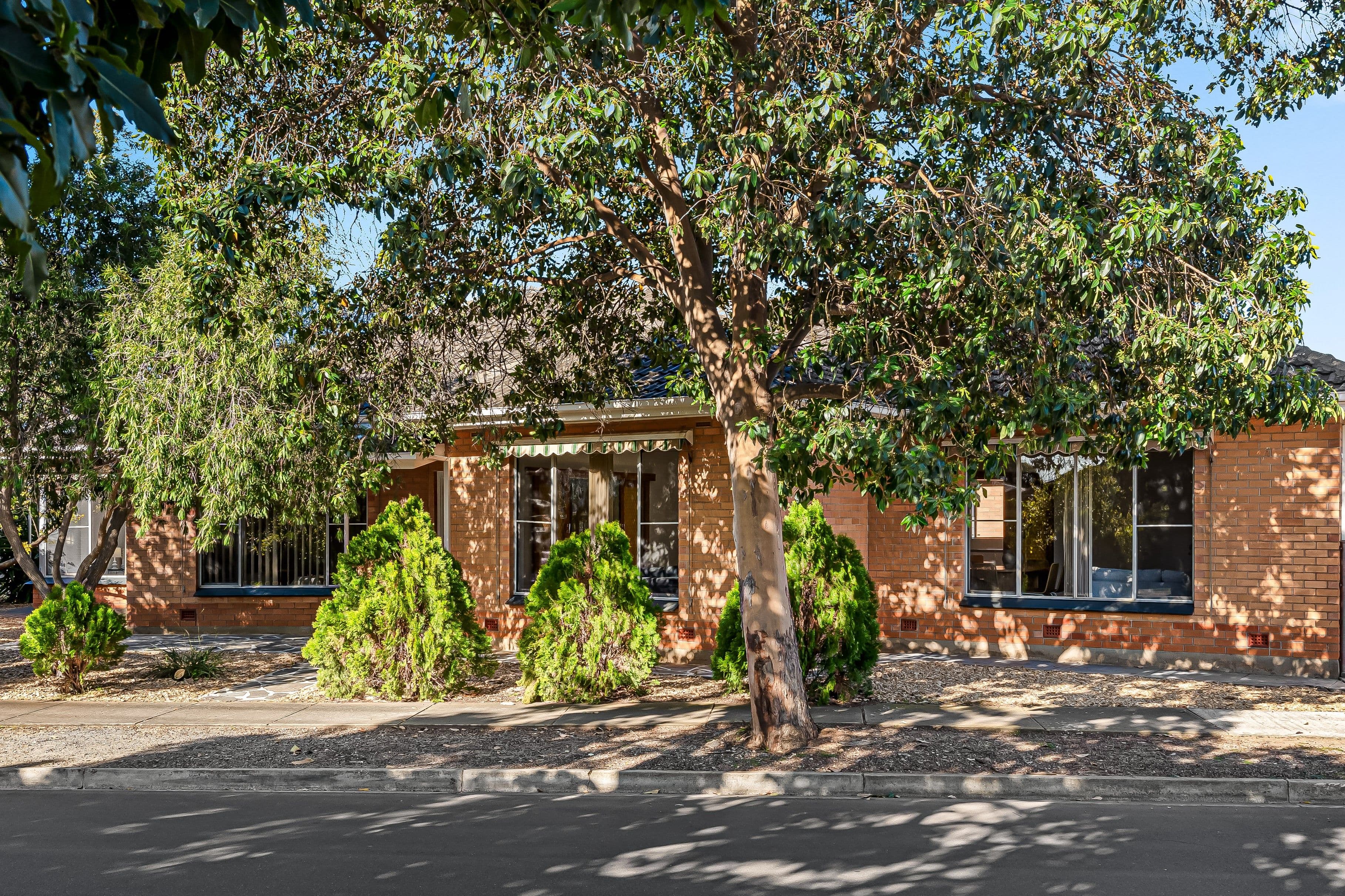 17 Janet Avenue, Glynde SA 5070, Glynde - Image 1