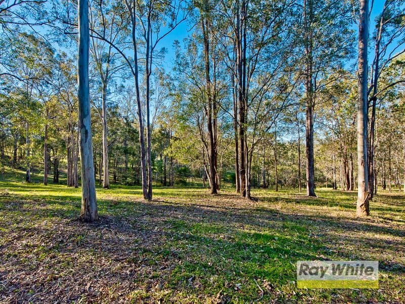 6 Springfield Court, Wights Mountain QLD 4520, Wights Mountain - Thumbnail 2