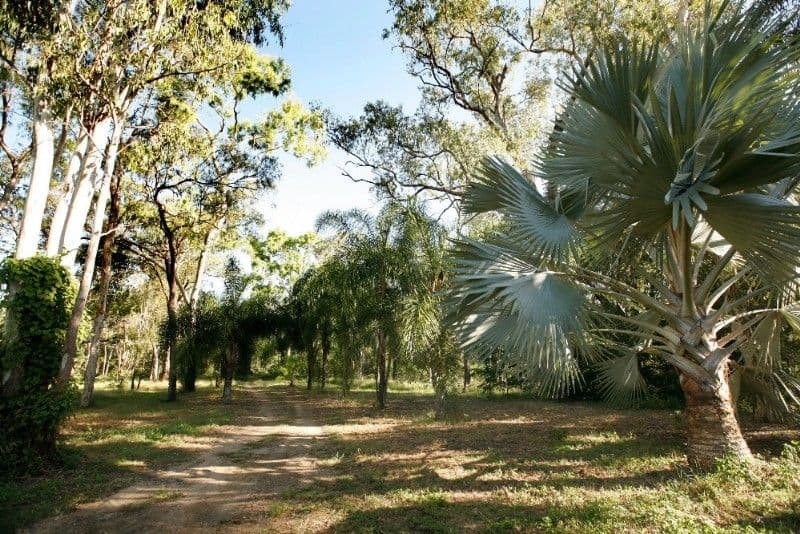 25 Riley Road, CAPE CLEVELAND QLD 4810, Cape Cleveland - Thumbnail 2