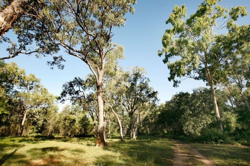 25 Riley Road, CAPE CLEVELAND QLD 4810, Cape Cleveland - Thumbnail 3