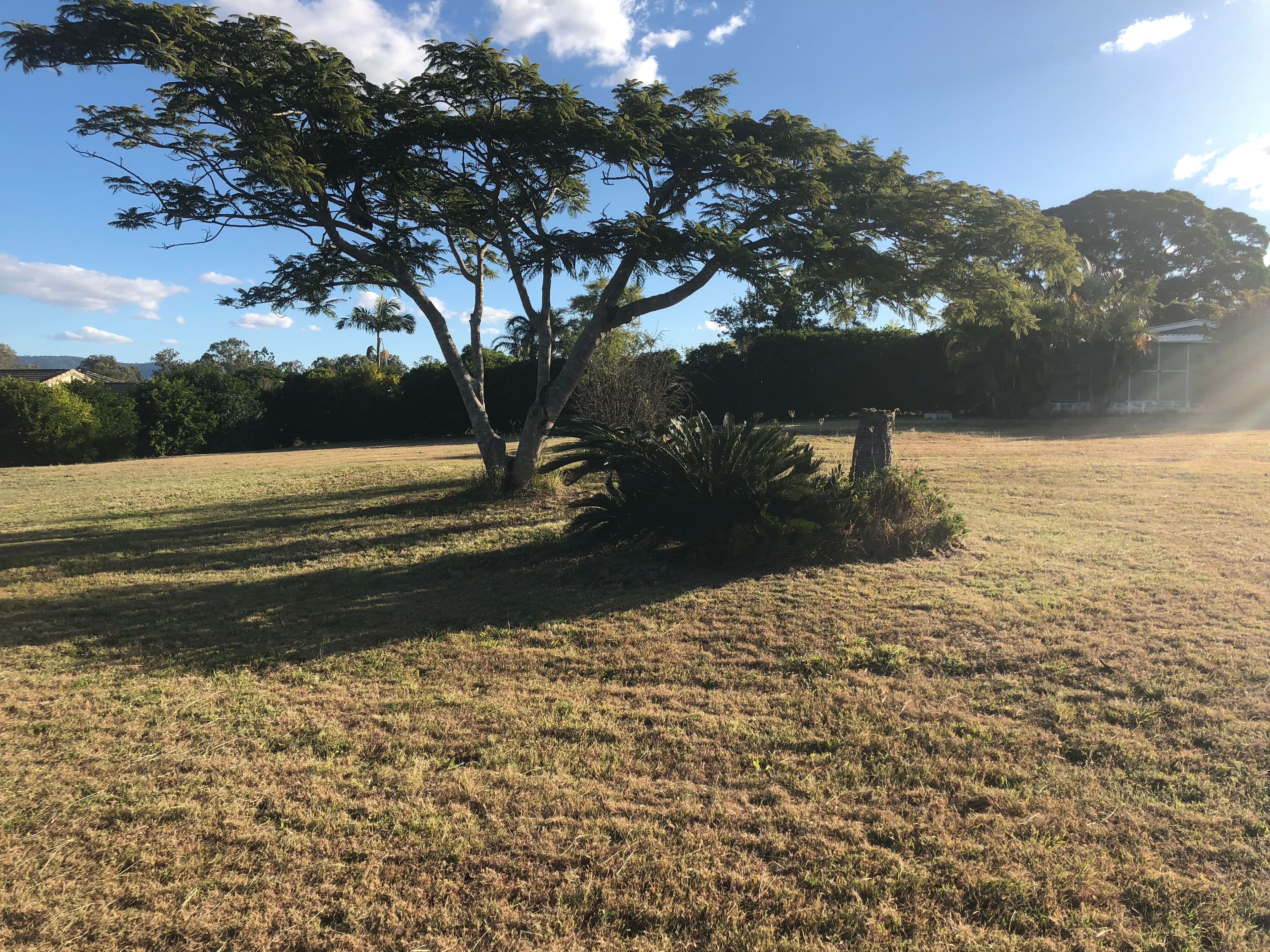 29 ATTHOW Street, Kilcoy QLD 4515, Kilcoy - Thumbnail 4