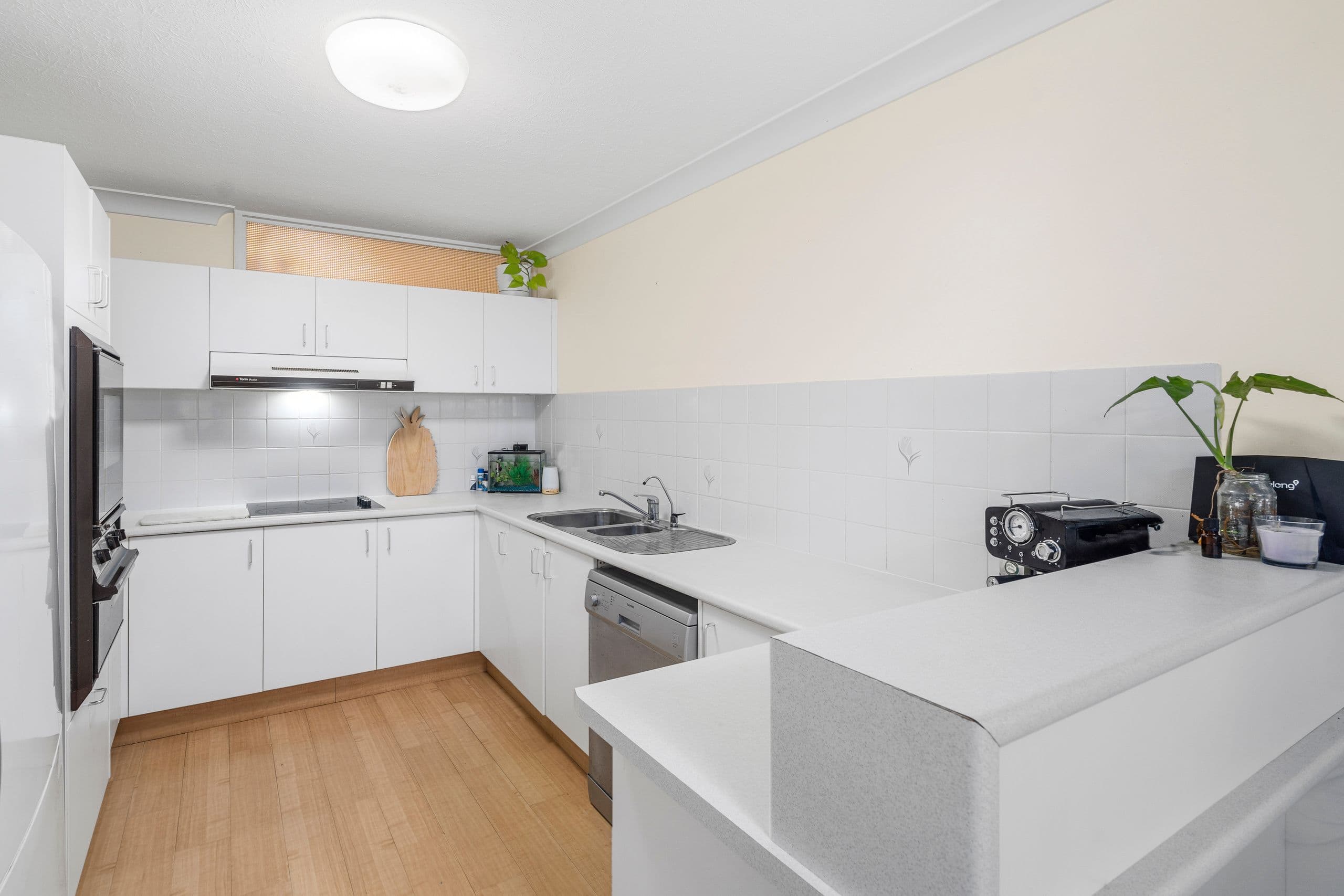 146 Pacific Parade, Bilinga QLD 4225, Bilinga - Thumbnail 5