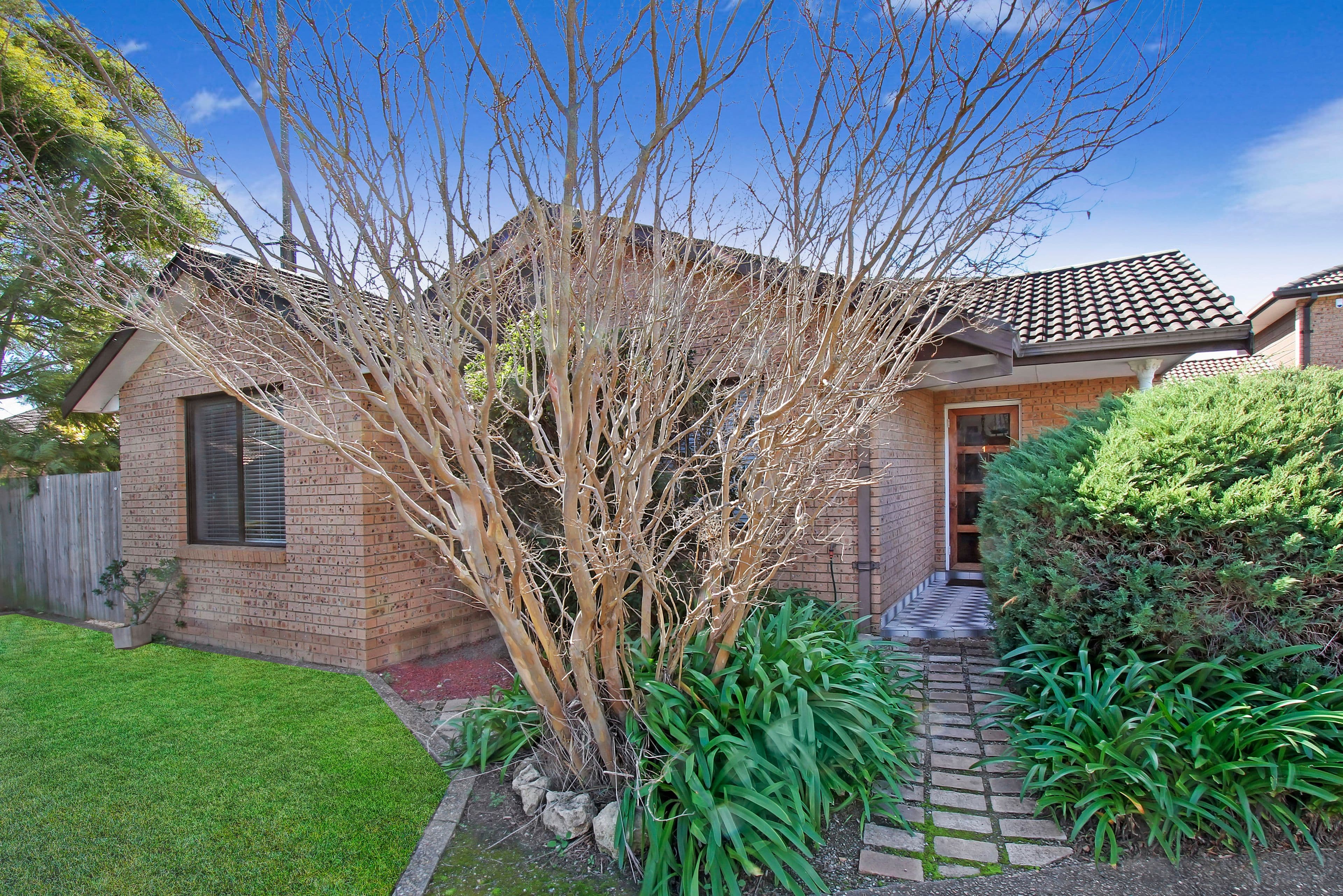 38A Albert Street, Campsie NSW 2194, Campsie - Image 1