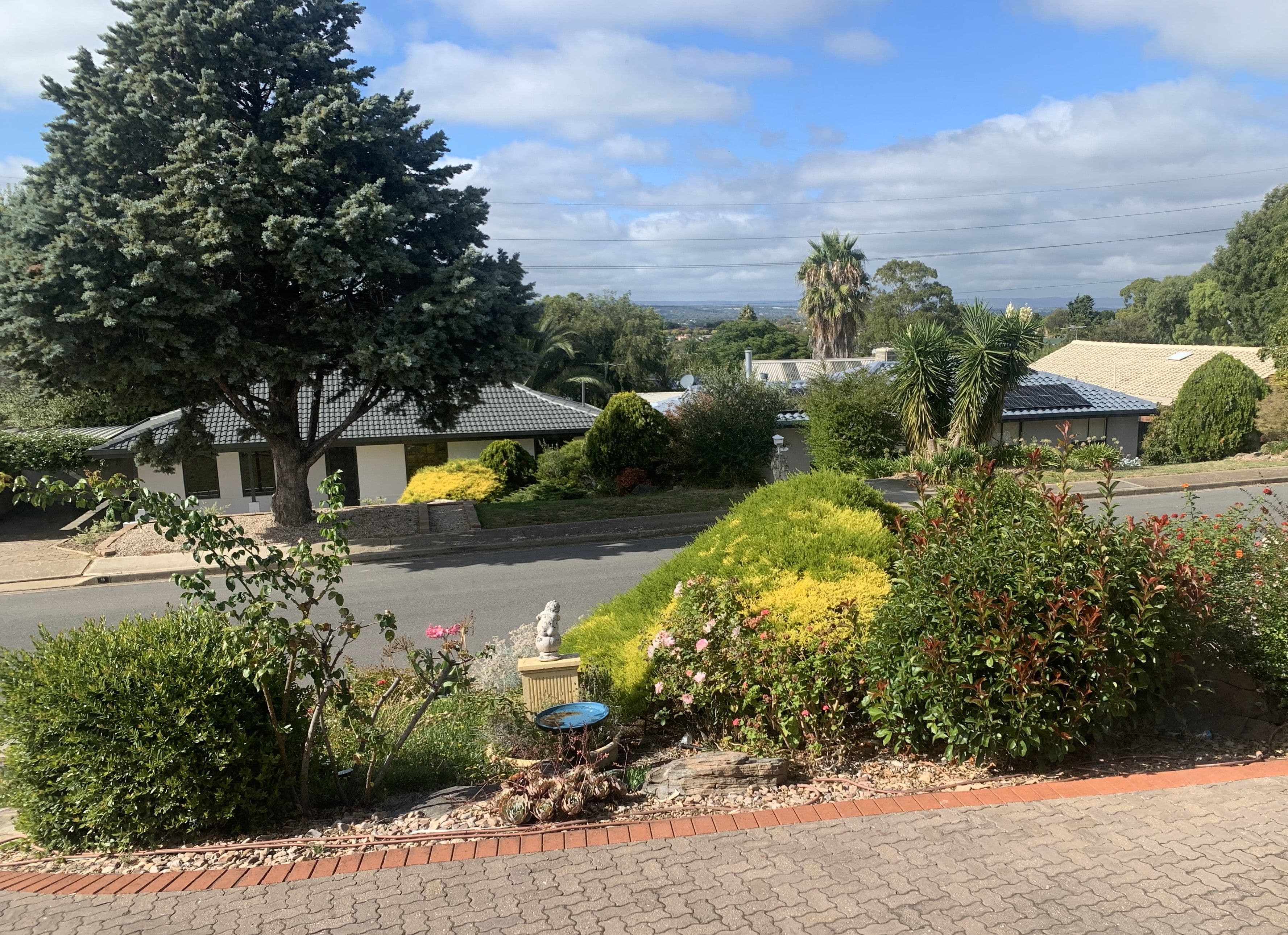 6 Elura Avenue, Sheidow Park SA 5158, Sheidow Park - Thumbnail 4