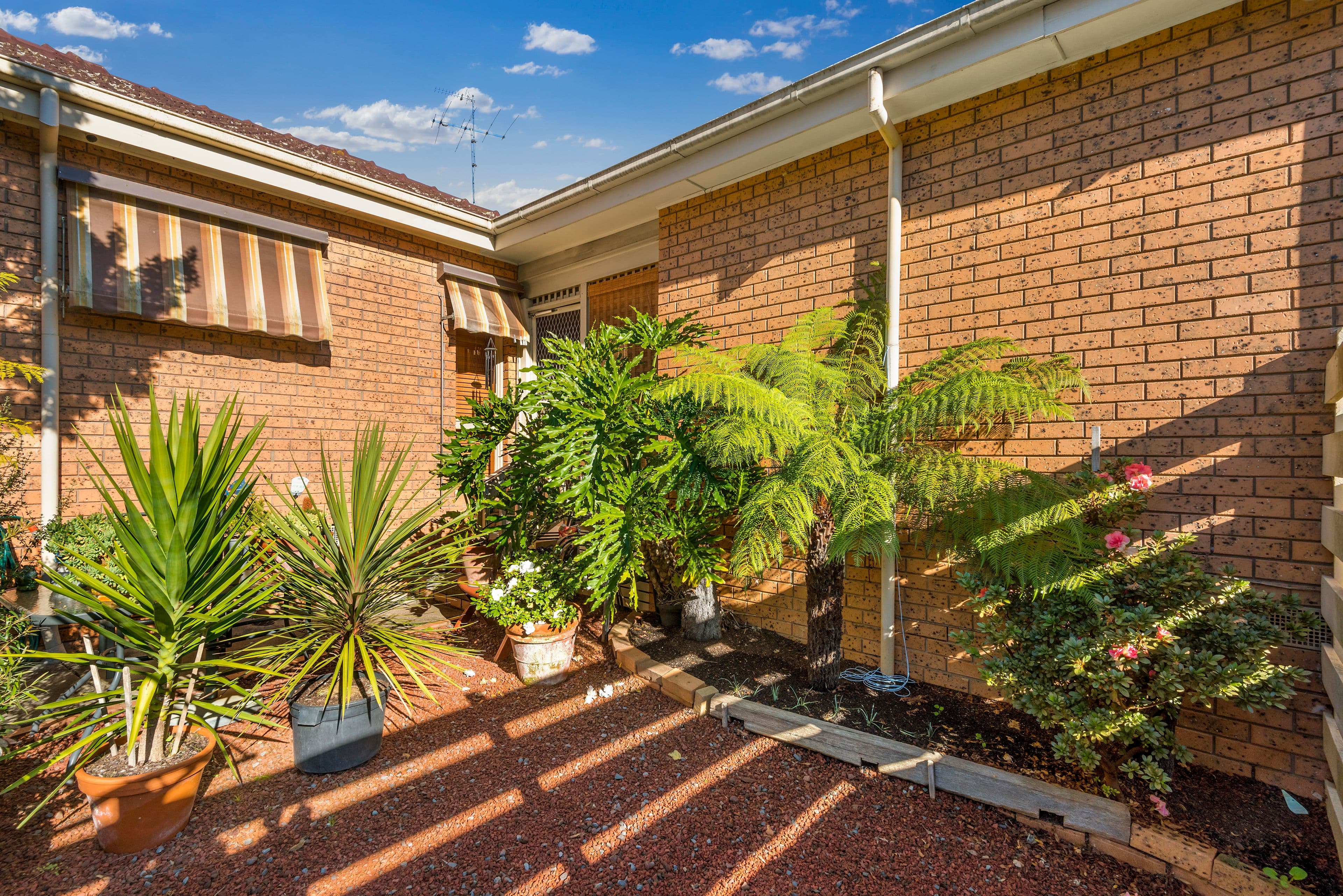 26 Nelson Street, Ringwood VIC 3134, Ringwood - Image 1