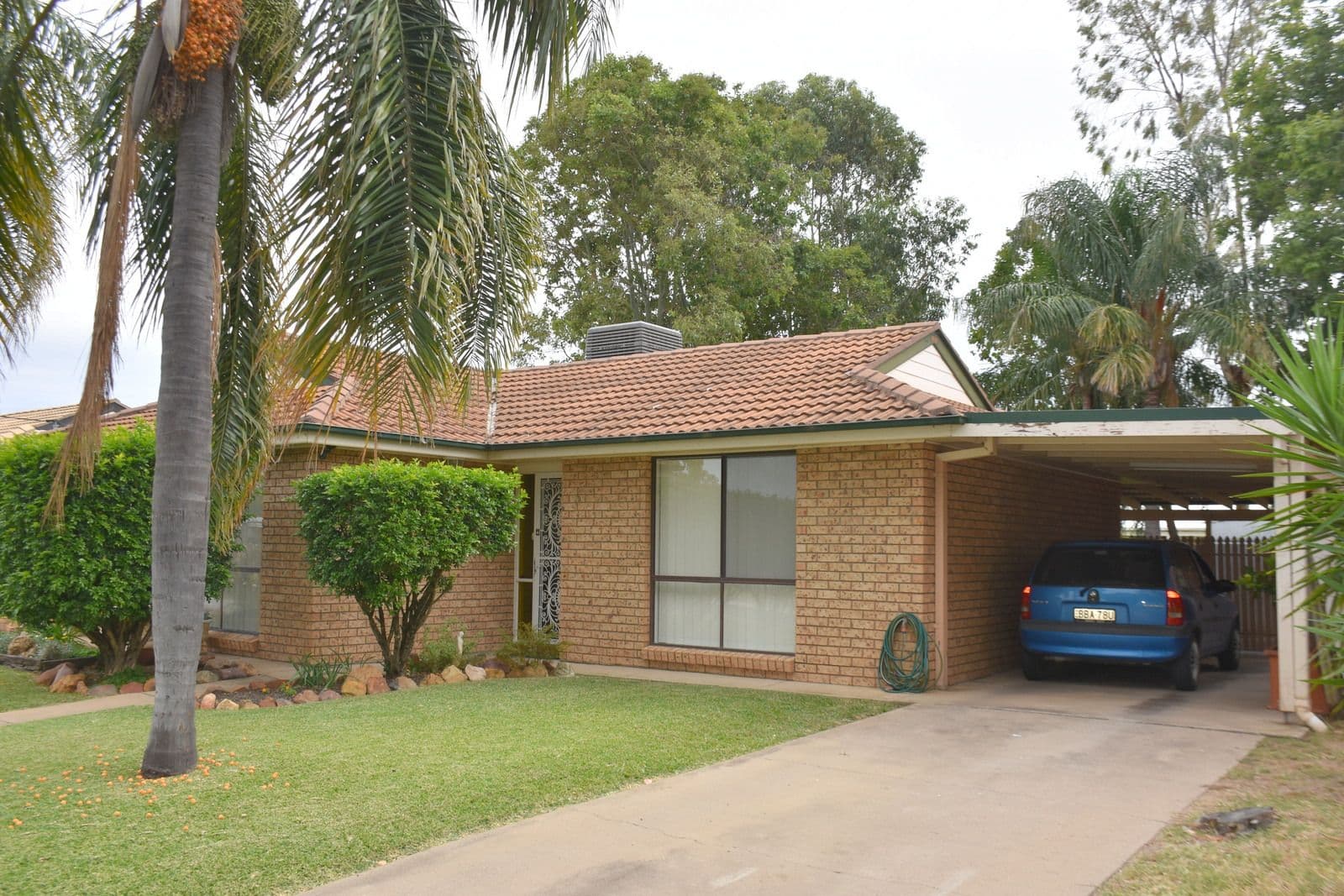 29 Blueberry Road, Moree NSW 2400, Moree - Thumbnail 3