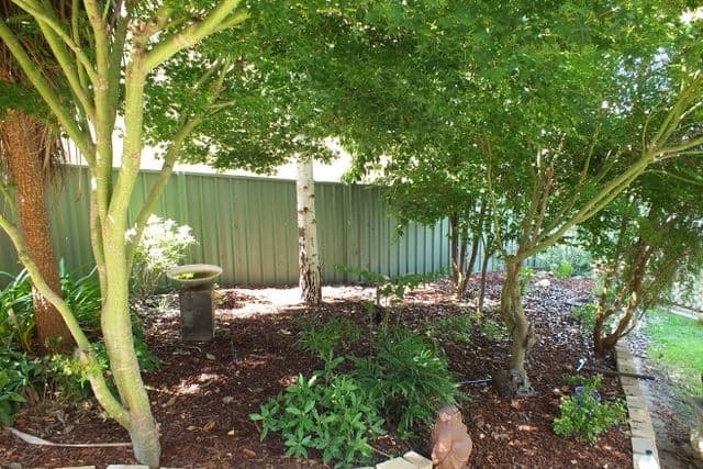 55 Cedar Drive, Bathurst NSW 2795, Bathurst - Thumbnail 8