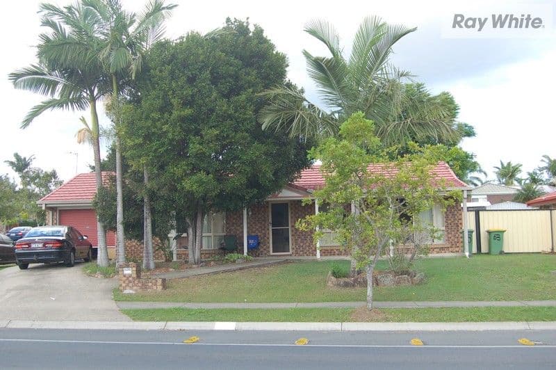 53 Fifth Avenue, MARSDEN QLD 4132, Marsden - Thumbnail 7