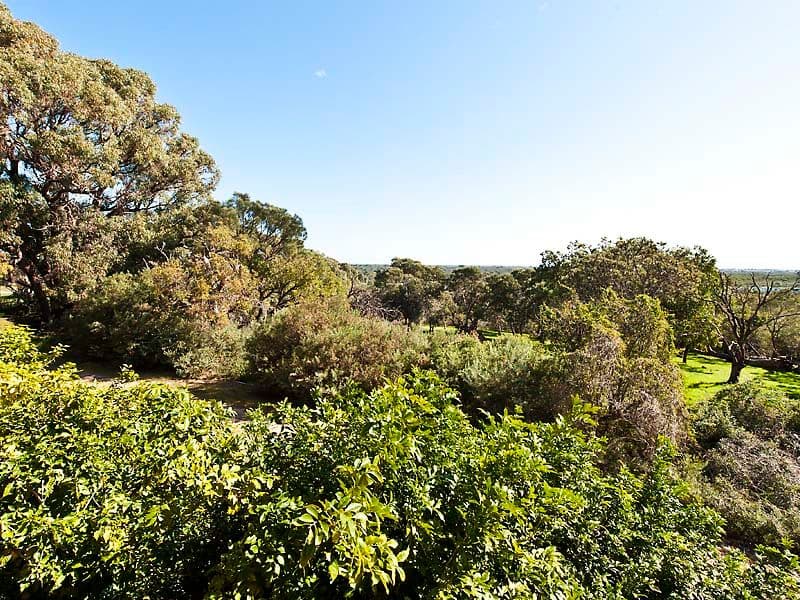 1791 Mandurah Road, Baldivis WA 6171, Baldivis - Thumbnail 3