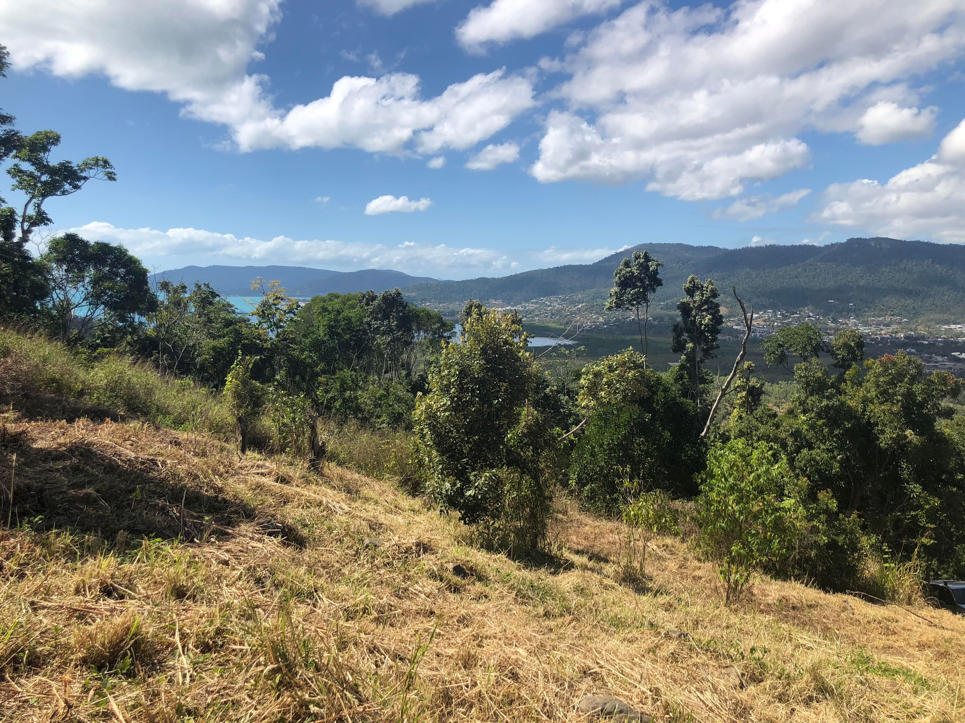 77 Black Road, Riordanvale QLD 4800, Riordanvale - Thumbnail 3