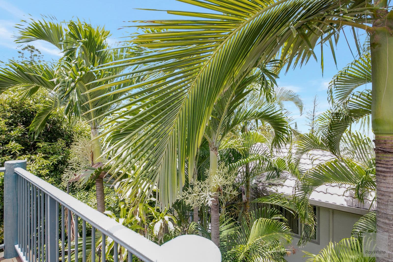 38 Farnborough Road, Yeppoon QLD 4703, Yeppoon - Thumbnail 6