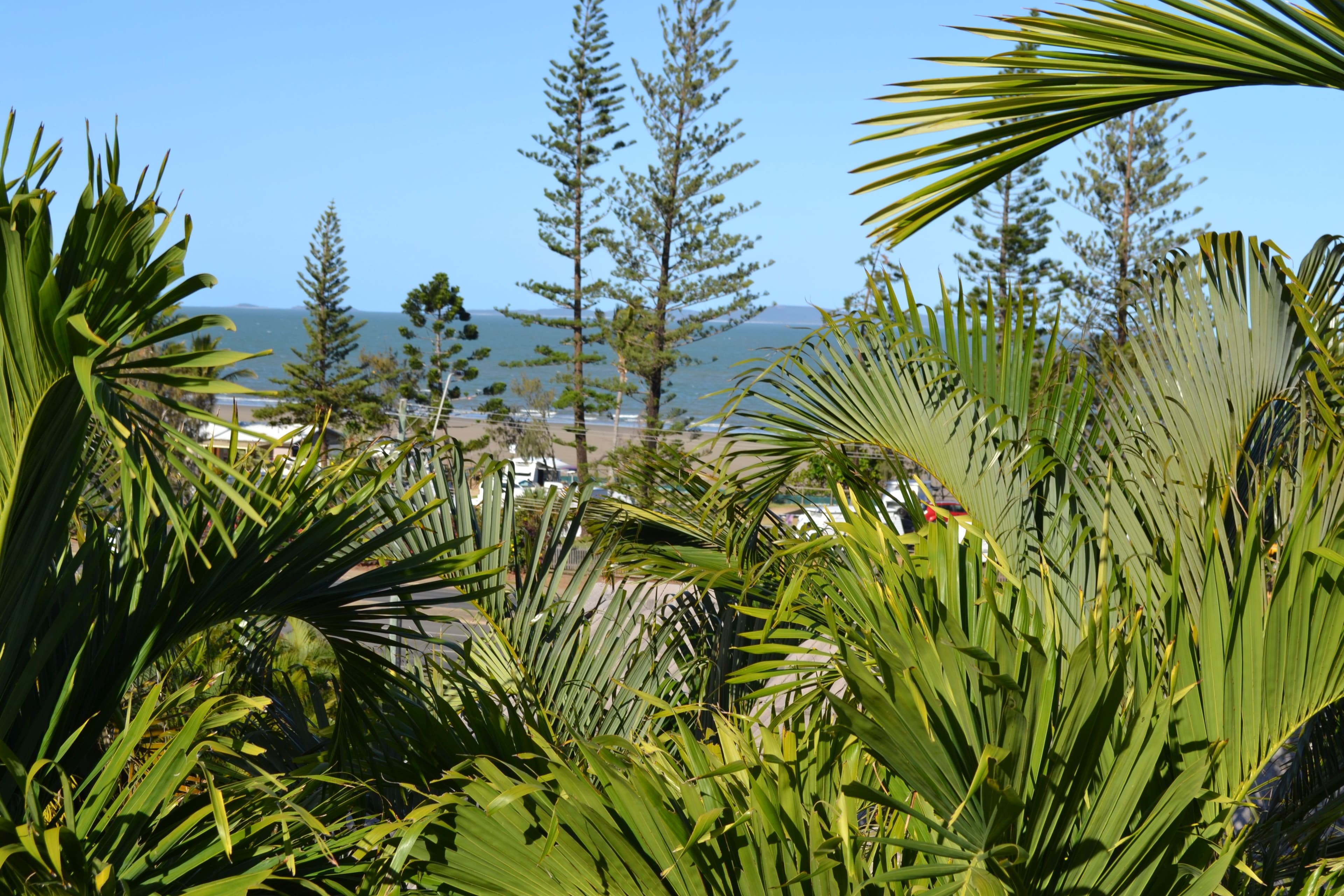 38 Farnborough Road, Yeppoon QLD 4703, Yeppoon - Thumbnail 7