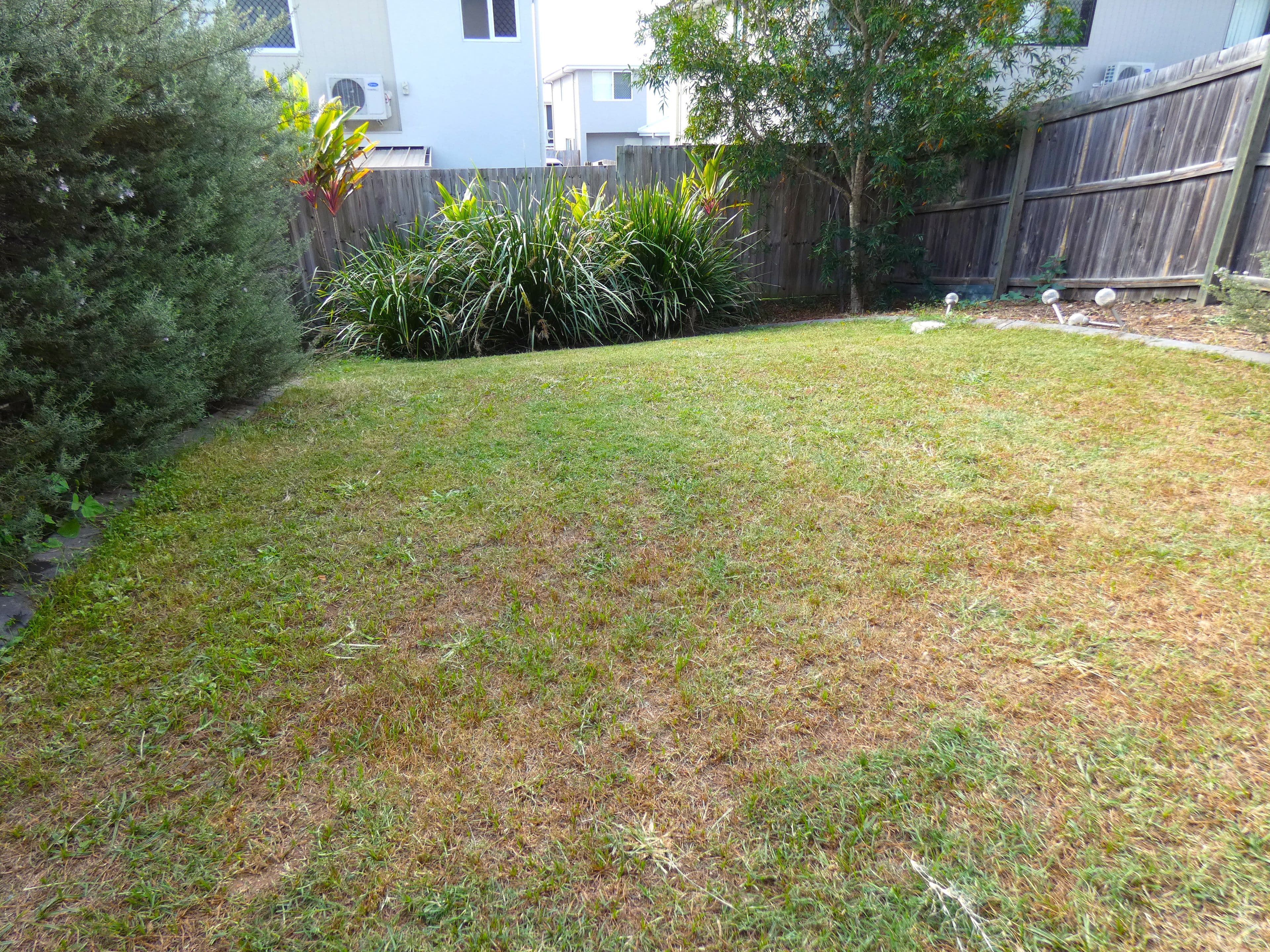 9 Coolamon View, Currumbin Valley QLD 4223, Currumbin Valley - Thumbnail 4