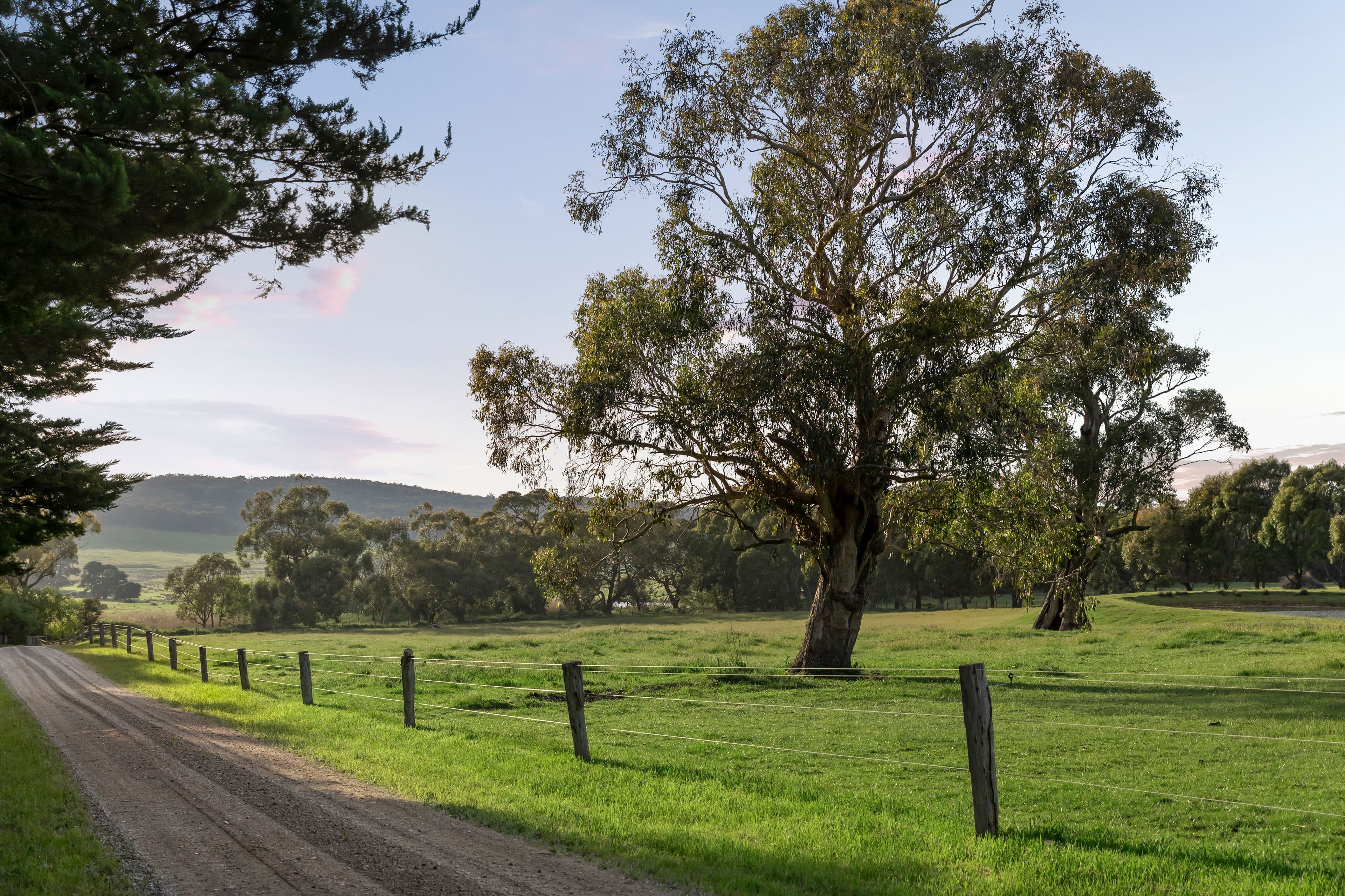 441 Mount William Road, Goldie VIC 3435, Goldie - Thumbnail 3