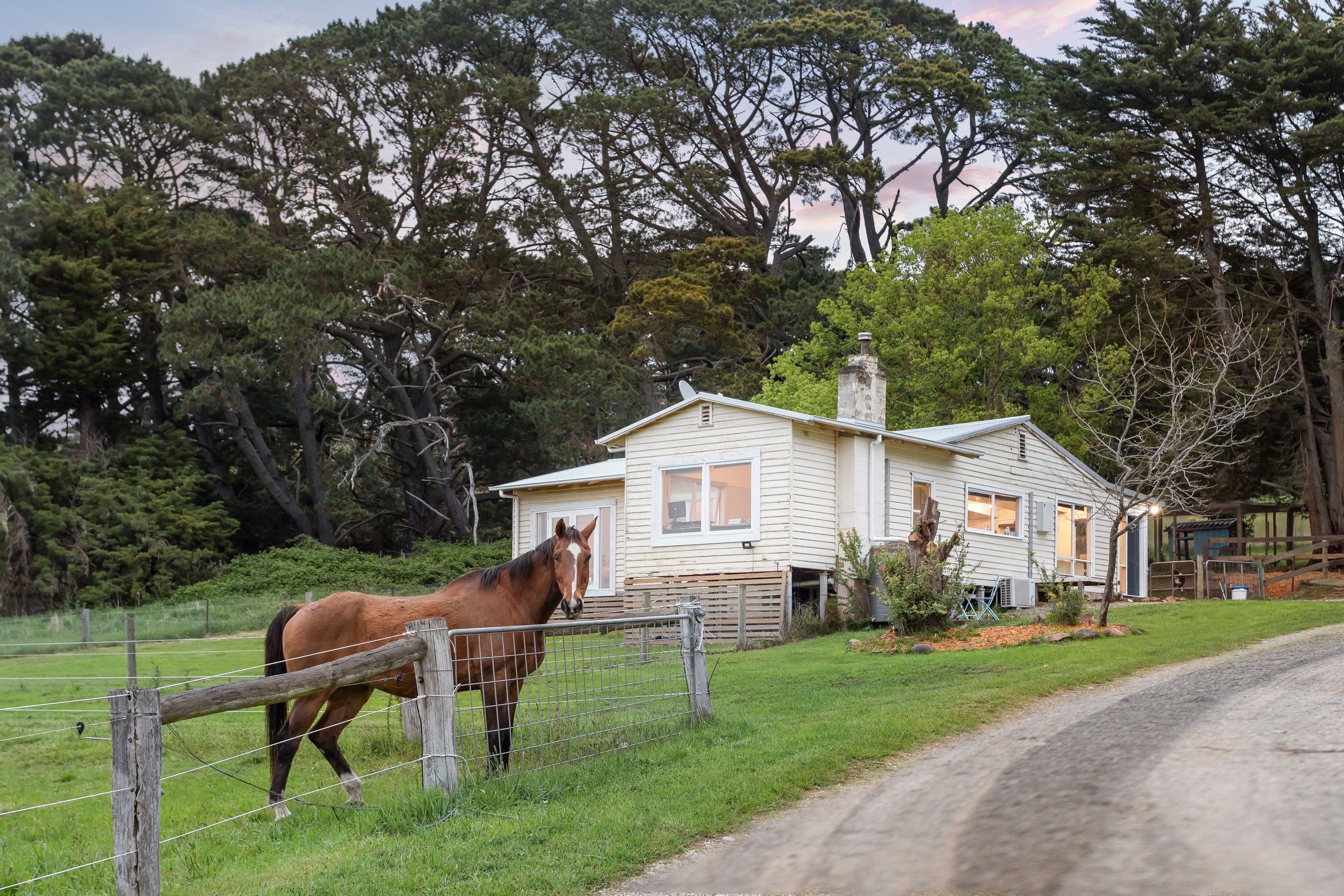 441 Mount William Road, Goldie VIC 3435, Goldie - Thumbnail 4