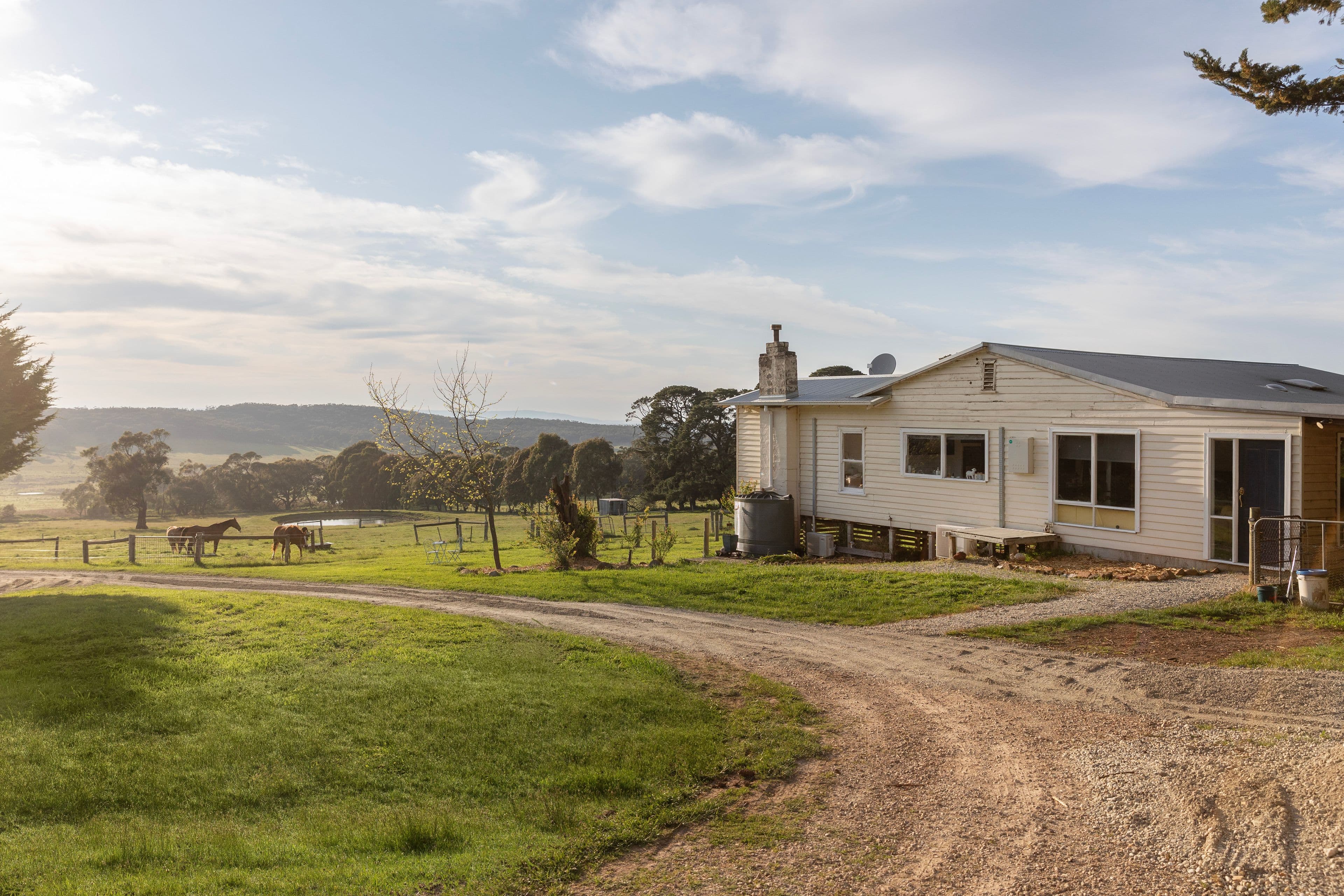 441 Mount William Road, Goldie VIC 3435, Goldie - Thumbnail 7
