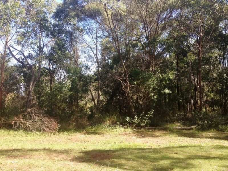 4 Petunia Street, Russell Island QLD 4184, Russell Island - Thumbnail 2