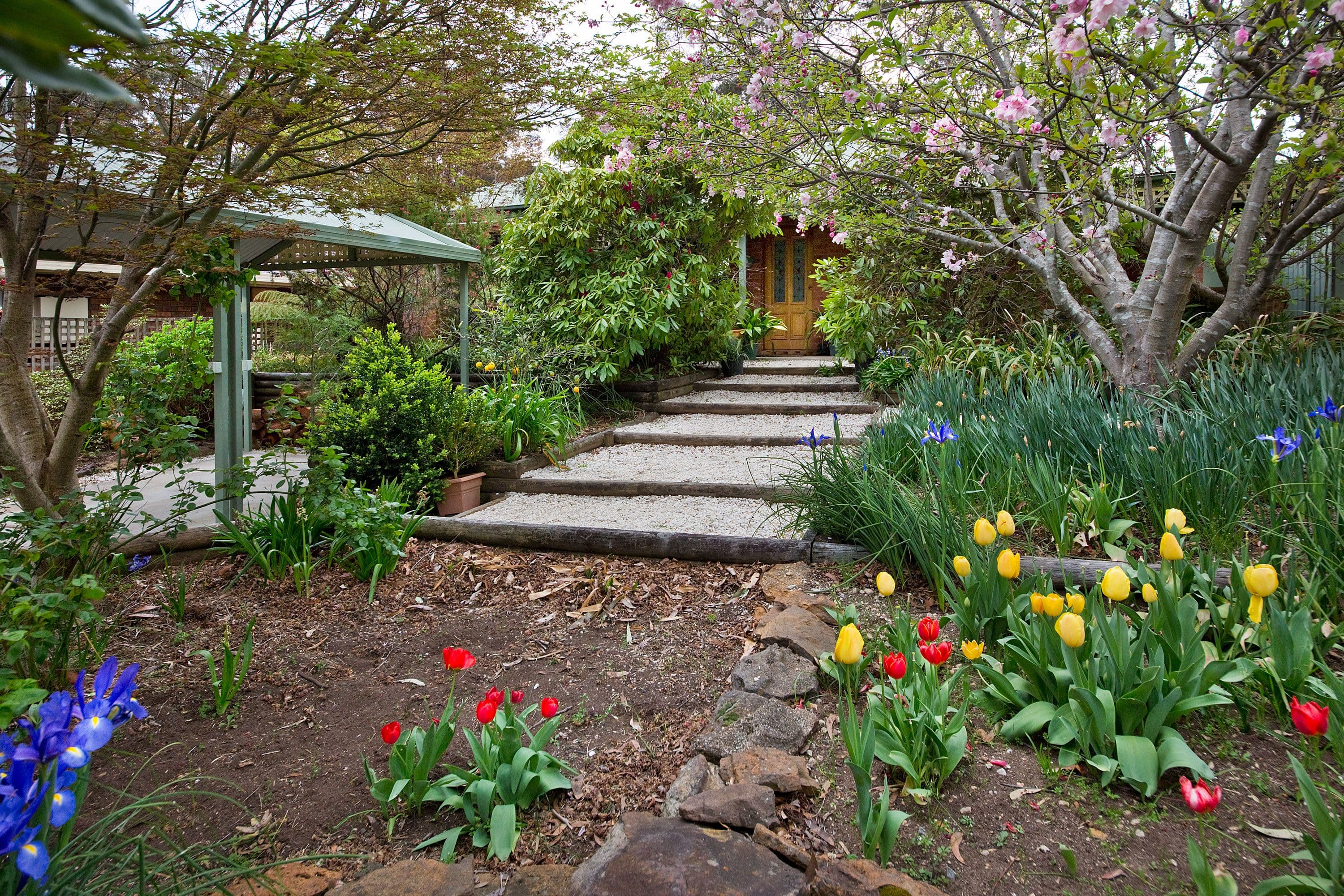 17 St Andrews Avenue, Blackheath - Image 1