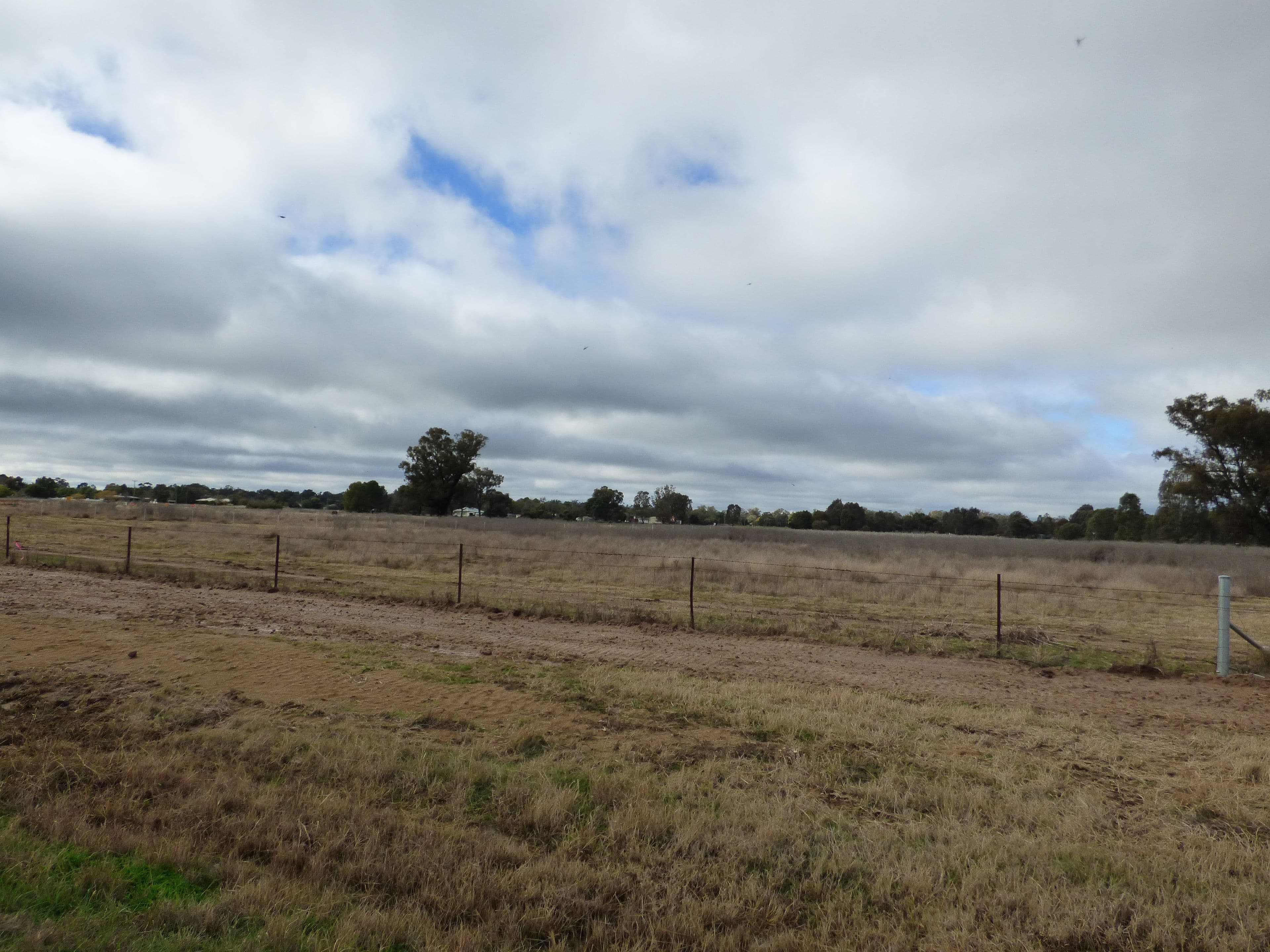 Lot 36 River Road, Forbes NSW 2871, Forbes - Image 1