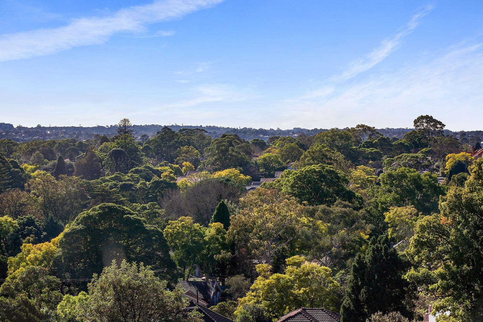 989-1015 Pacific Highway, Roseville NSW 2069, Roseville - Thumbnail 4