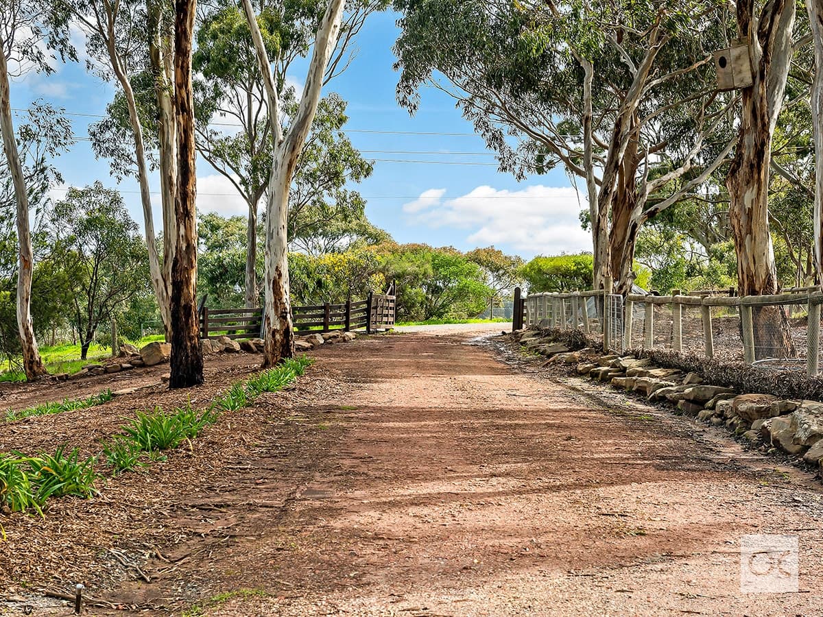 23 Brumby Street, Cherry Gardens - Image 1