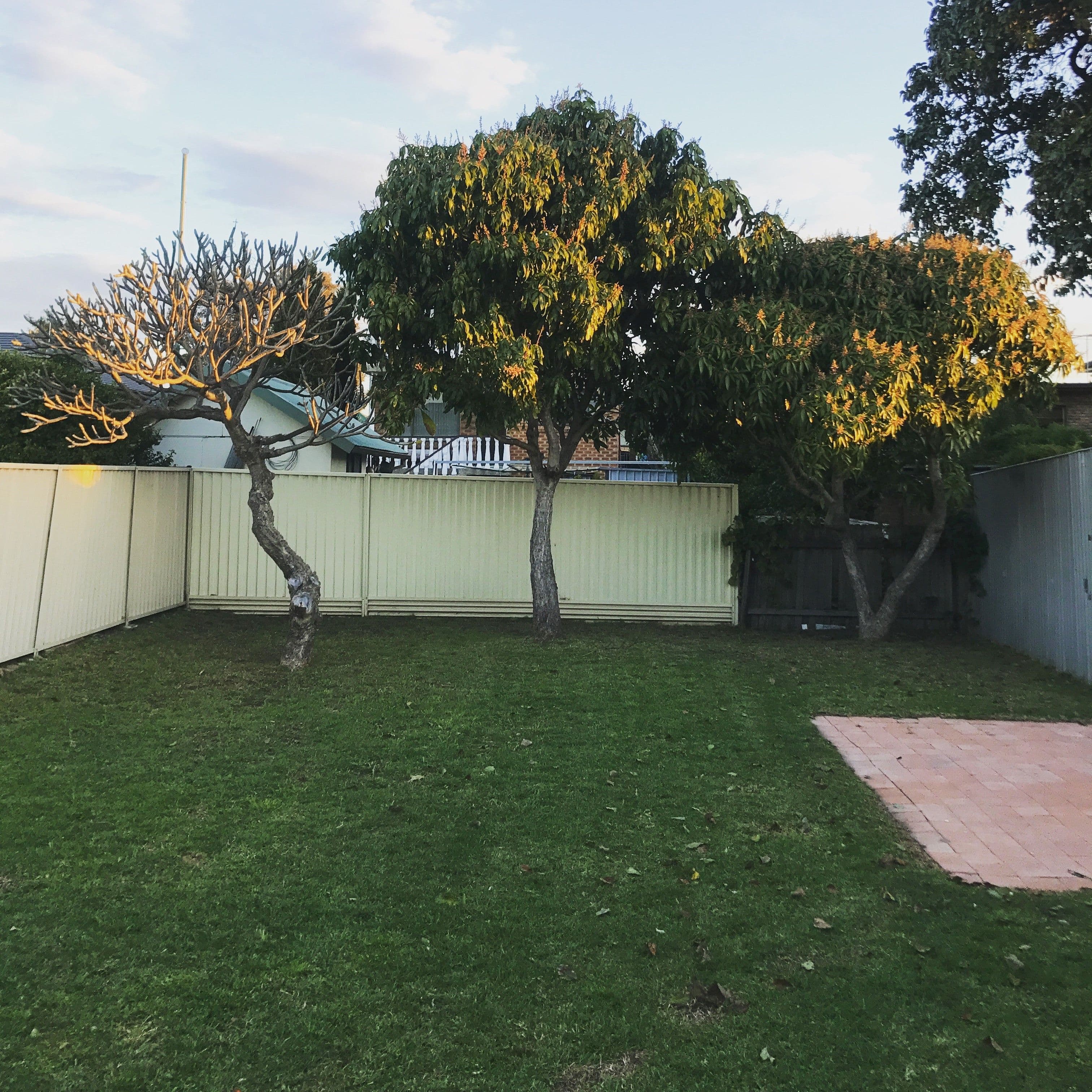 35 Hastings Street, Botany - Image 1