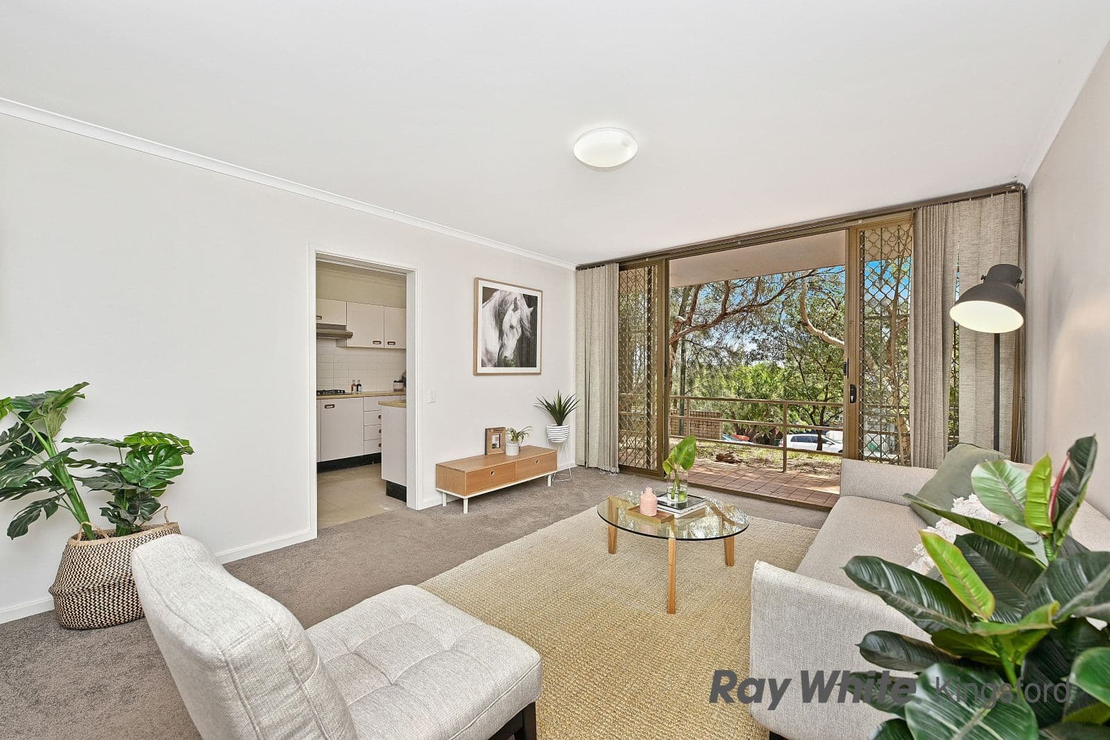 47-49 Willis Street, Kingsford NSW 2032, Kingsford - Image 1