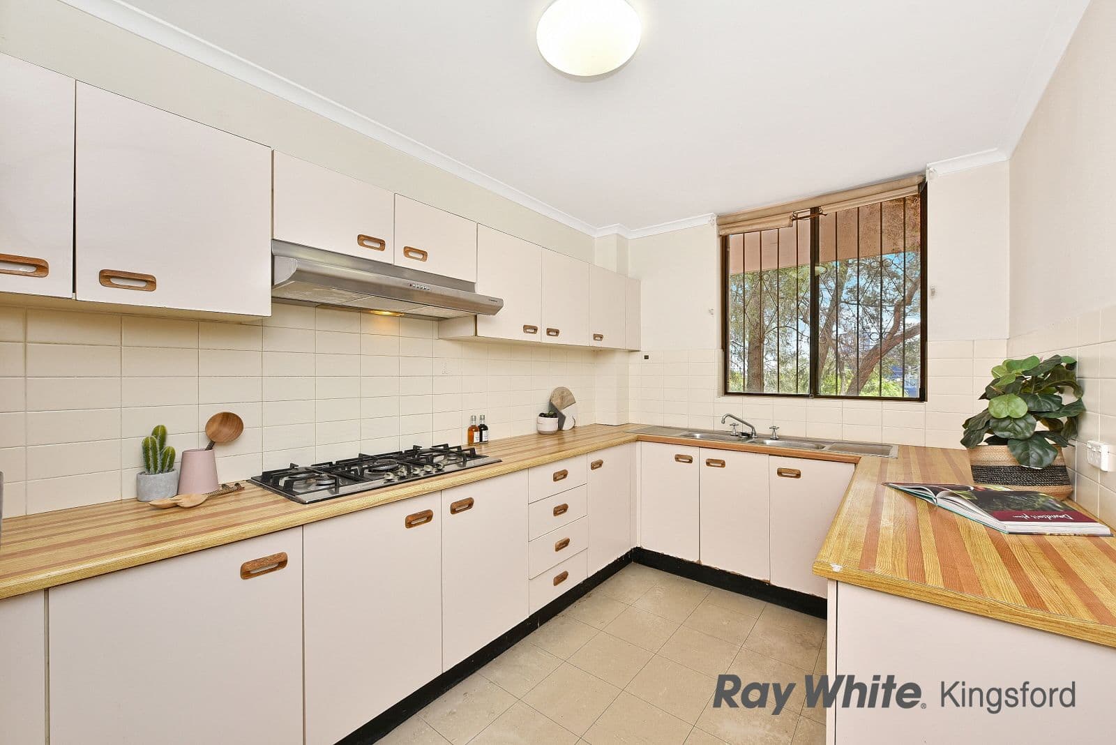 47-49 Willis Street, Kingsford NSW 2032, Kingsford - Thumbnail 3