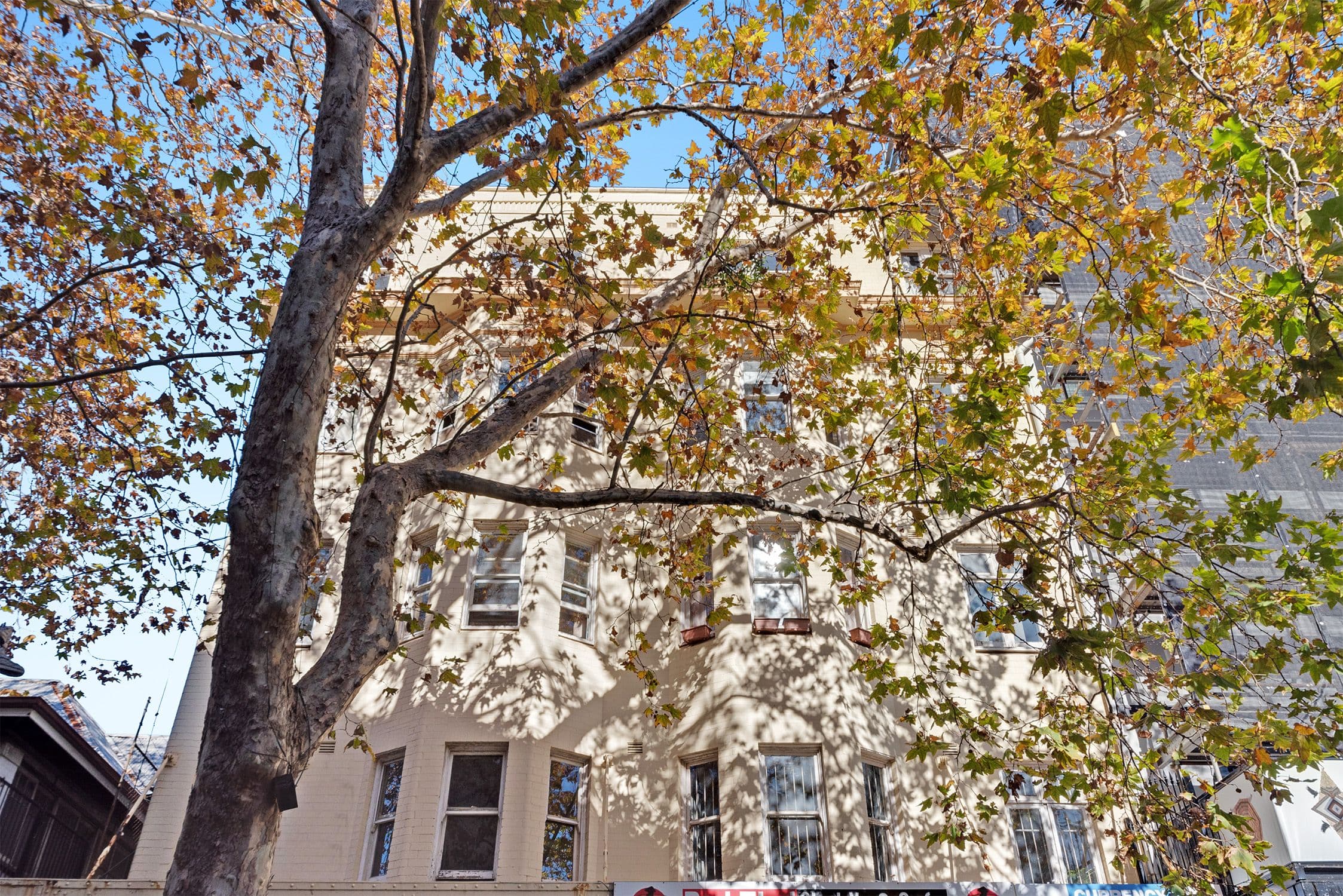 1a Roslyn Street, Potts Point NSW 2011, Potts Point - Image 1