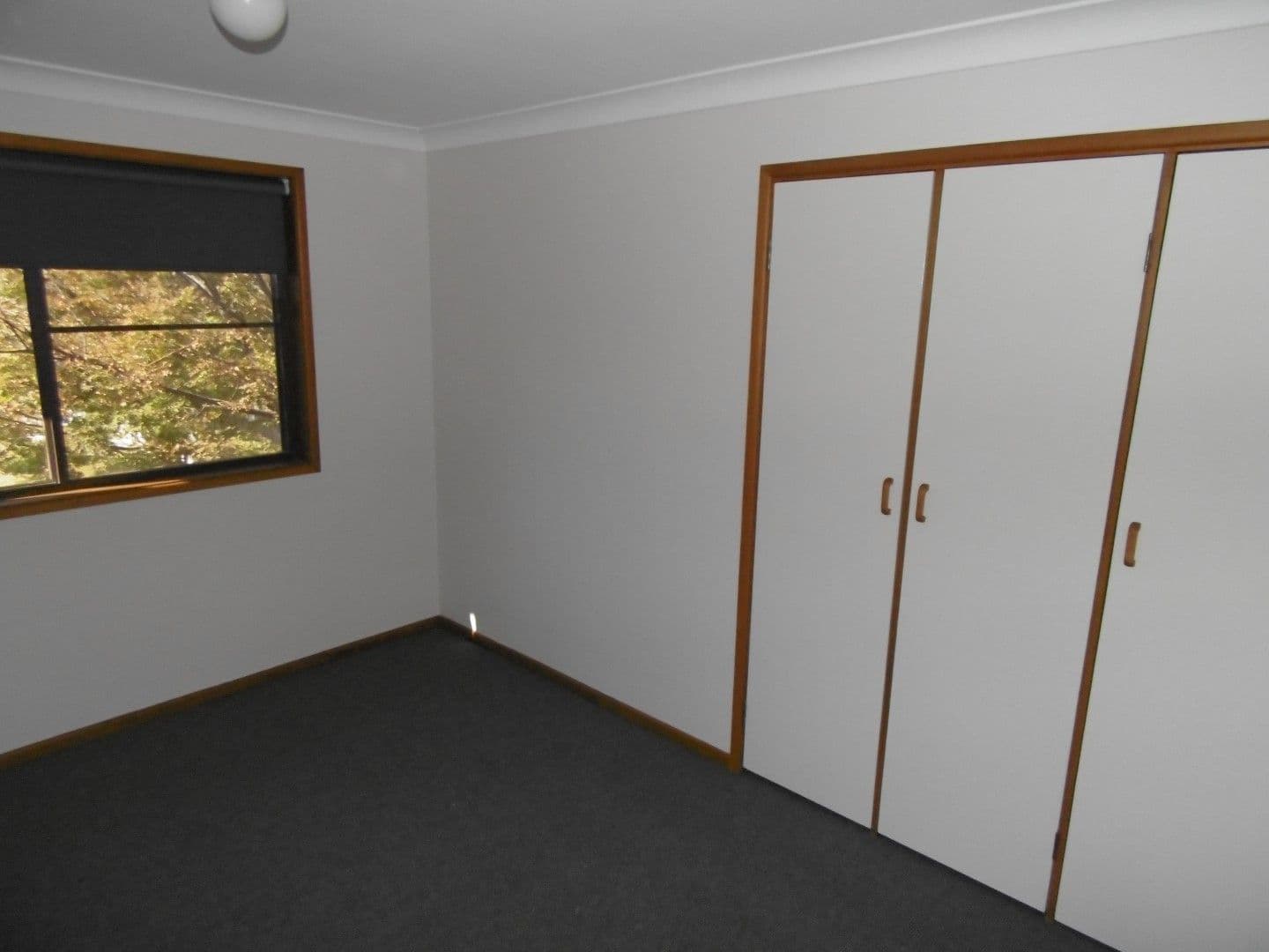 25 Moor Street, Parkes - Thumbnail 8