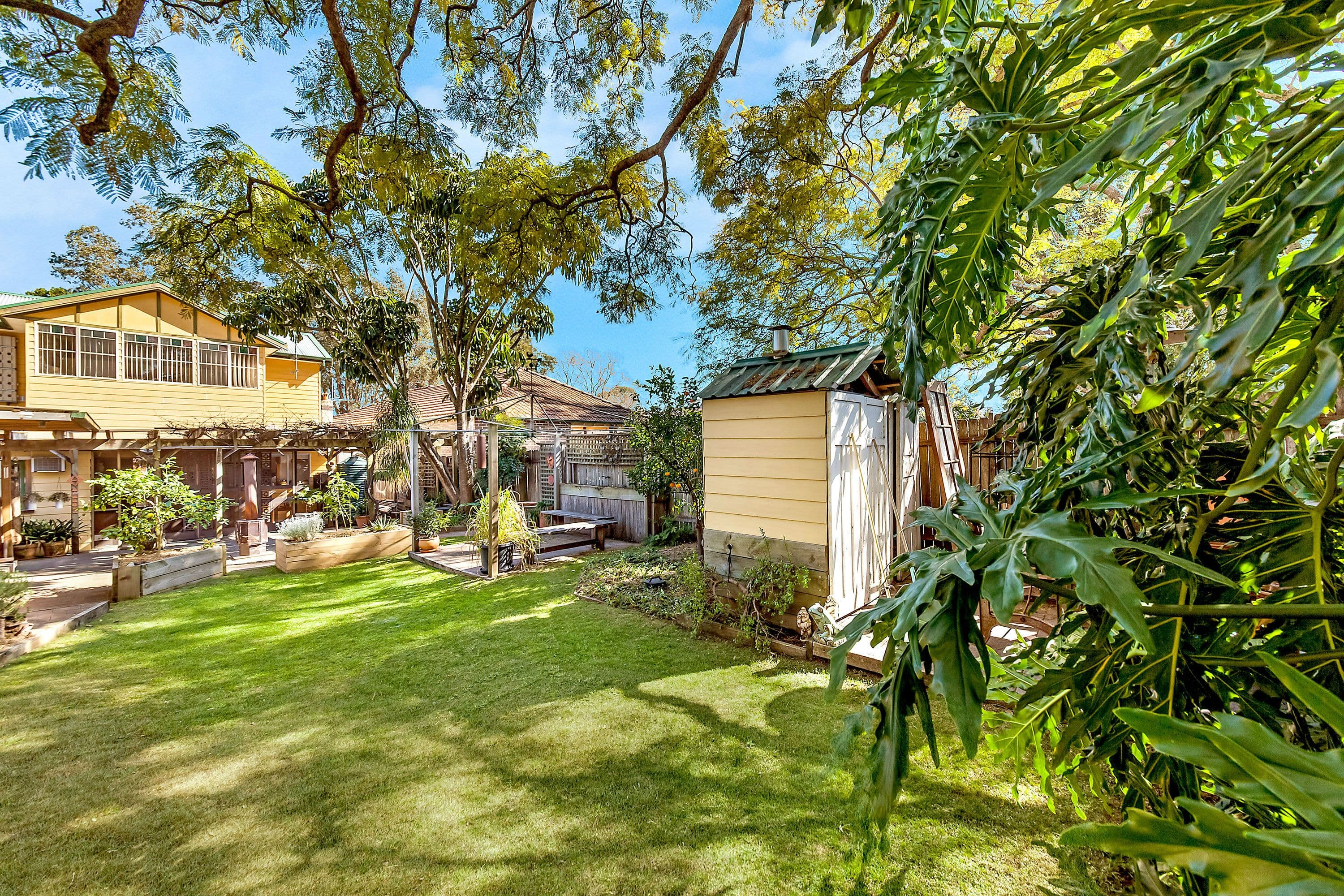 25 King Street, Concord West - Thumbnail 3
