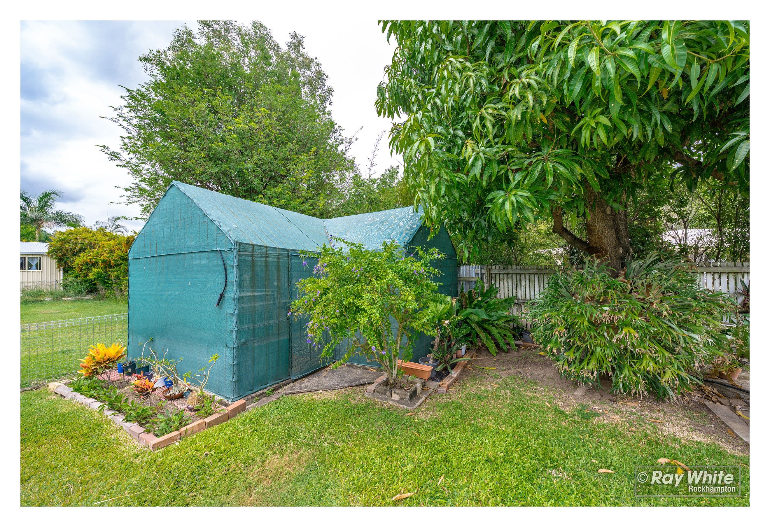 37 Scott Street, Kawana QLD 4701, Kawana - Thumbnail 3